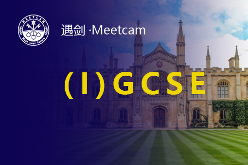 (International)GCSE